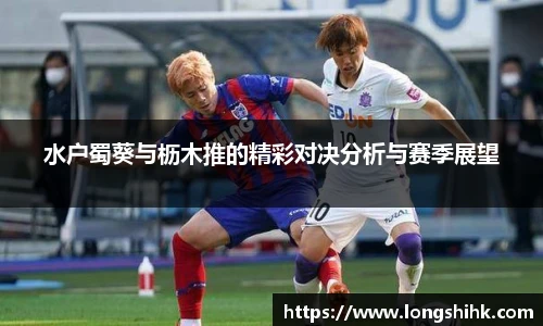 水户蜀葵与枥木推的精彩对决分析与赛季展望